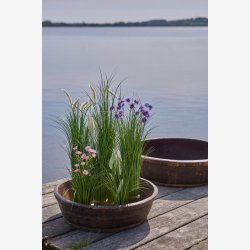 Speedtsberg - Dekorations fad i tr UNIKA L: 20 : 60 cm, Natur