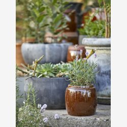 Urtepotteskjuler/krukke ler Rustik UNIKA brun : 15 H: 13 cm. 