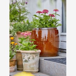 Urtepotteskjuler/krukke ler Rustik UNIKA brun : 22 H: 19,5 cm. 