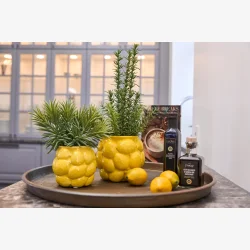 Speedtsberg - Potteskjuler m/3D citroner �16x14cm, Gul