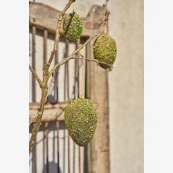 Speedtsberg - Mos �g m/snor i plastik 13x9cm, Gr�n