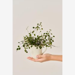 Ib Laursen - Krus m/riller Mynte Lemonade H10/9,5