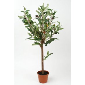 Oliventr m/oliven H: 60 cm.