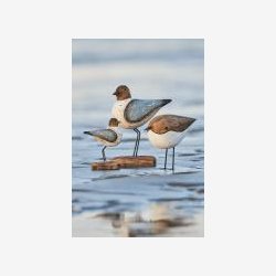 Ib Laursen - Fugl p fod stvbl vinger Nautico B:4,1/H:11/L:8,3