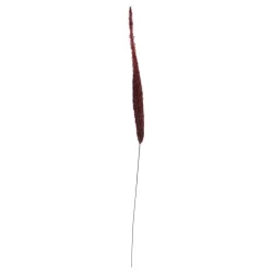 Speedtsberg - Gr�s stilk Burgundy 71 cm.