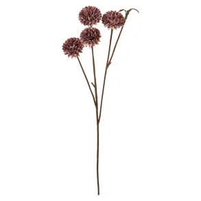 Speedtsberg - Krysantemum stilk Lilla 49 cm.