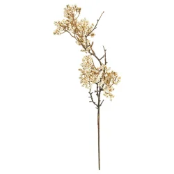 Speedtsberg - Mini b�rgren R�hvid 66 cm.