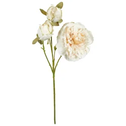 Speedtsberg - P�on stilk R�hvid 64 cm.