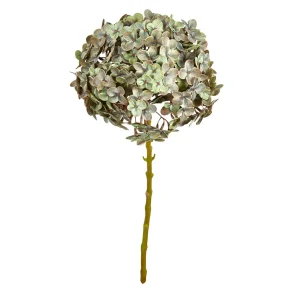 Speedtsberg - Hortensia Stilk Lilla/gr�n 62 cm.