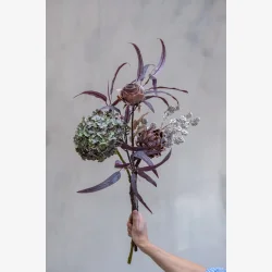 Speedtsberg - Hortensia Stilk Lilla/gr�n 62 cm.