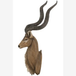J-Line - Antilope Hoved V�g Figur H: 85 B: 50 cm. Brun Poly