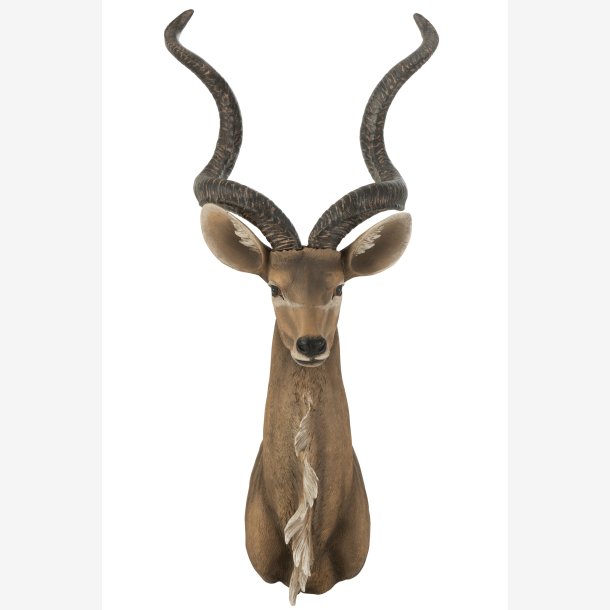 J-Line - Antilope Hoved V�g Figur H: 85 B: 50 cm. Brun Poly
