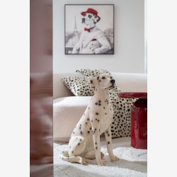 J-Line - Hund Dalmatiner Poly Hvid/sort 28,5x16x71,5 cm.