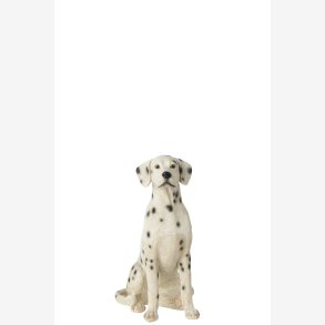 J-Line - Hund Dalmatiner Poly Hvid/sort 28,5x16x71,5 cm.