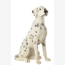J-Line - Hund Dalmatiner Poly Hvid/sort 46x29,5x60 cm.