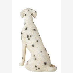 J-Line - Hund Dalmatiner Poly Hvid/sort 46x29,5x60 cm.