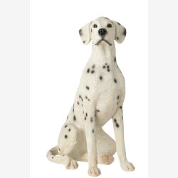 J-Line - Hund Dalmatiner Poly Hvid/sort 46x29,5x60 cm.