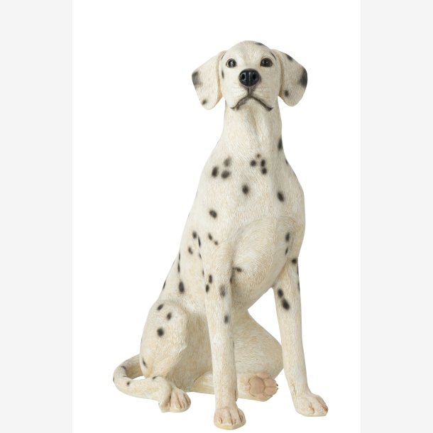 J-Line - Hund Dalmatiner Poly Hvid/sort 46x29,5x60 cm.