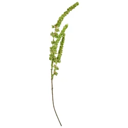 Speedtsberg - R�vehale stilk Gr�n 92 cm.