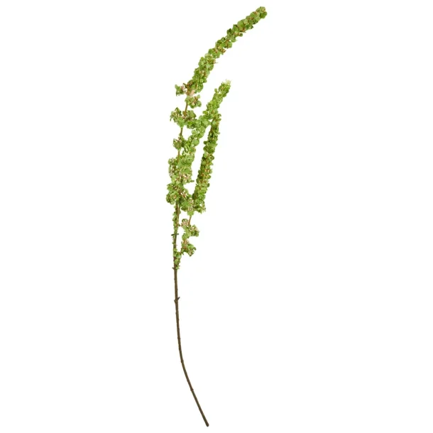 Speedtsberg - R�vehale stilk Gr�n 92 cm.