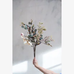Speedtsberg - Asters stilk Rose 60 cm.