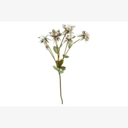 Speedtsberg - Akeleje stilk Gr�n/rose 70 cm.
