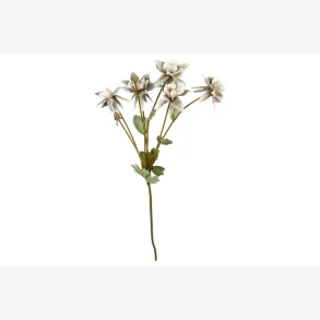 Speedtsberg - Akeleje stilk Gr�n/rose 70 cm.
