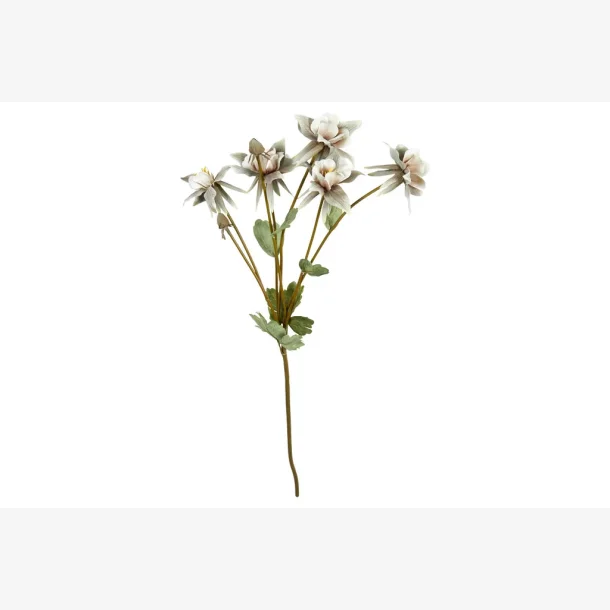 Speedtsberg - Akeleje stilk Gr�n/rose 70 cm.