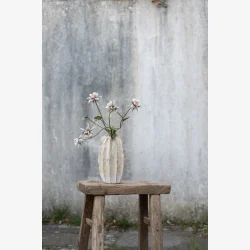 Speedtsberg - Akeleje stilk Gr�n/rose 70 cm.