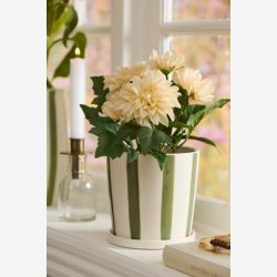 Ib Laursen - Dahlia i potte m/5 blomster 25x22cm - Flere farver