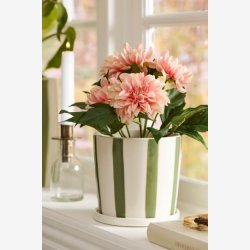 Ib Laursen - Dahlia i potte m/5 blomster 25x22cm - Flere farver