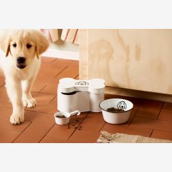 Ib Laursen - Dse Kdben m/motiv Hvid Metal B: 15 H: 12 L: 24 cm. 