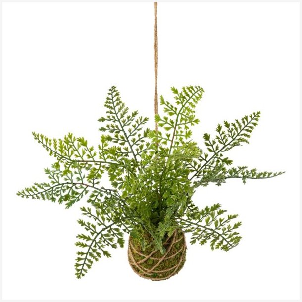 Bregne dekokugle Grn til ophnge 2611 cm.