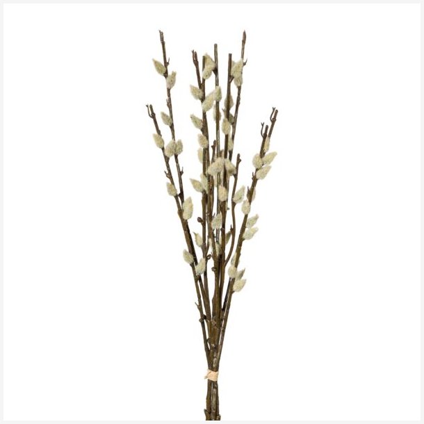 G�slinge Bund H:42cm.