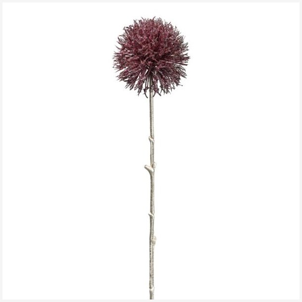 Allium Bordeaux m/glimmer H: 49 cm.