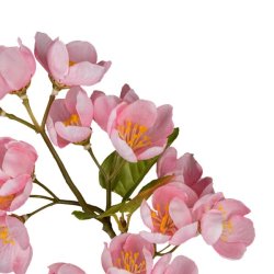 bleblomst gren Rosa H: 35 cm.