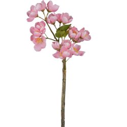 bleblomst gren Rosa H: 35 cm.