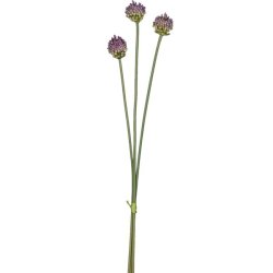 Allium buket Lilla H: 66 cm.