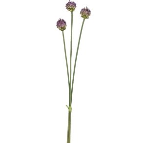Allium buket Lilla H: 66 cm.