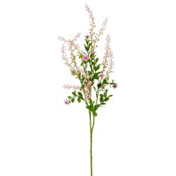 Phytolacca Rosa H:72cm.