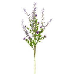 Phytolacca Lilla H:72cm.