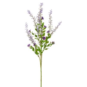 Phytolacca Lilla H:72cm.