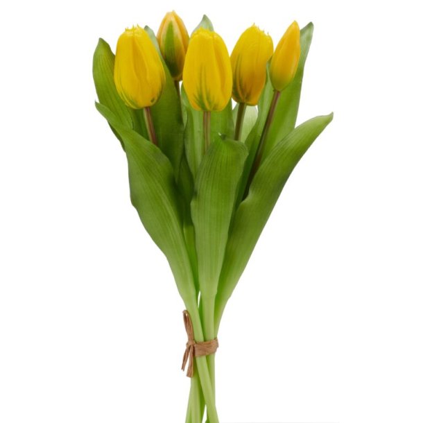 Tulipan Bundt 5 stk. Gul H:32cm.