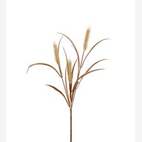 Hvedegren Beige H:65 cm.