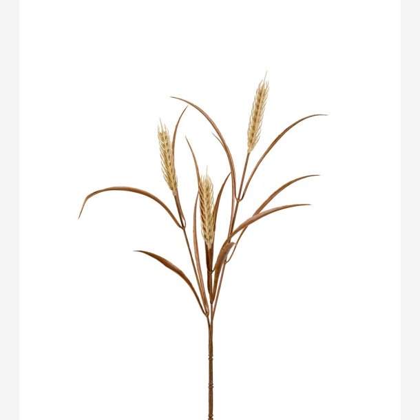 Hvedegren Beige H:65 cm.