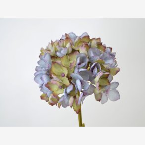 Hortensia stilk blomst, Bl L: 45 cm.