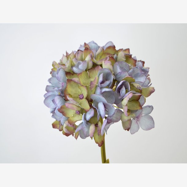 Hortensia stilk blomst, Bl L: 45 cm.