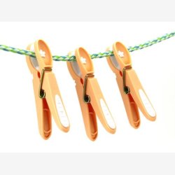 Notre Dame - Tjklemme, Fersken/Hvid