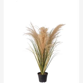 Gr�splante Gr�n/beige H:60 cm.