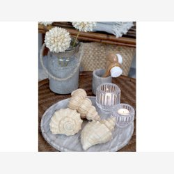 Chic Antique - Konkylie, Antique Natur. H8,5/L14/B7,5cm.